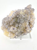 Purple Edge "QR Code" Fluorite