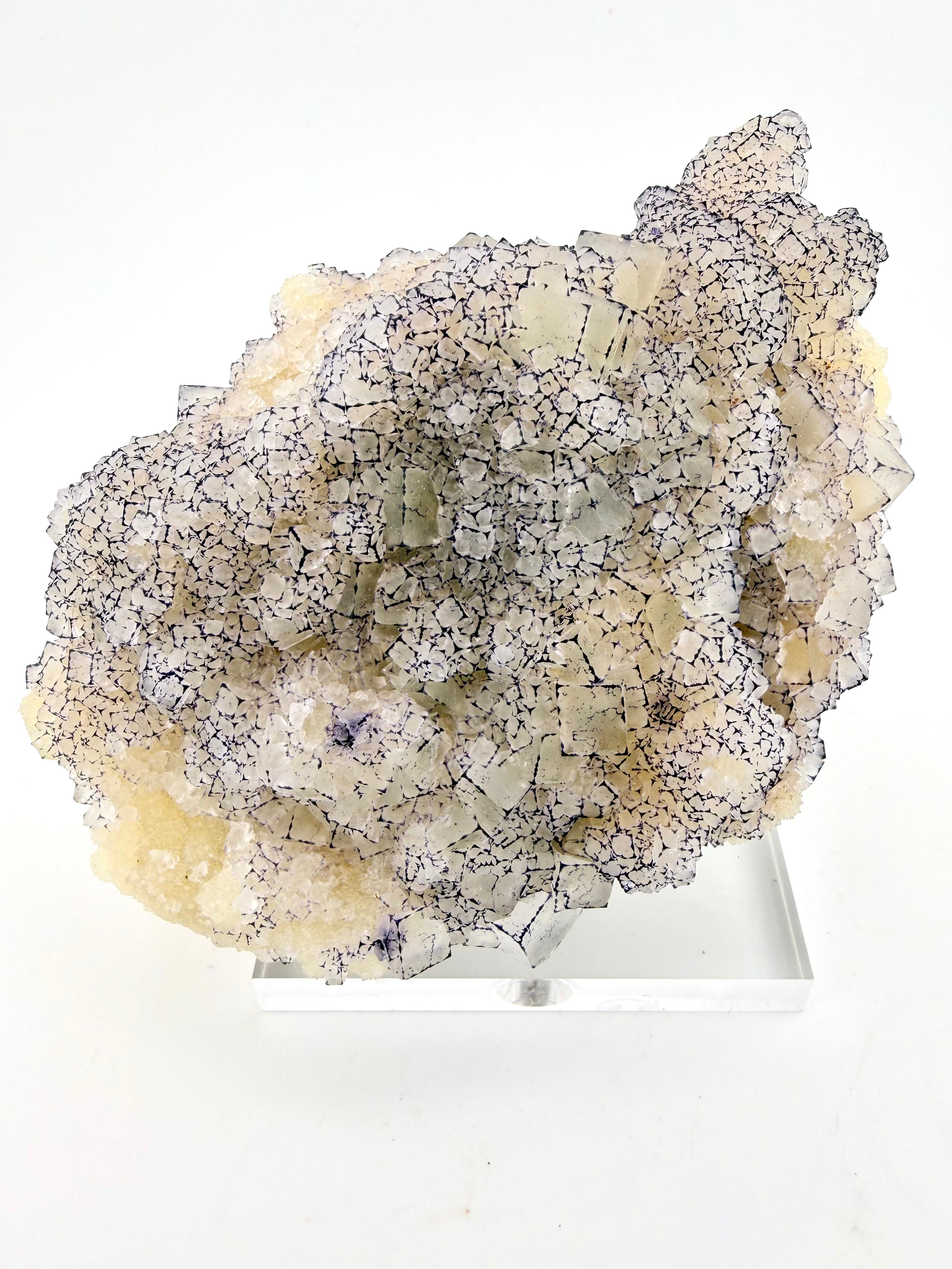 Purple Edge "QR Code" Fluorite