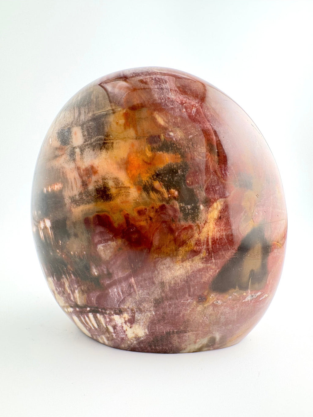 Petrified Wood Free Form