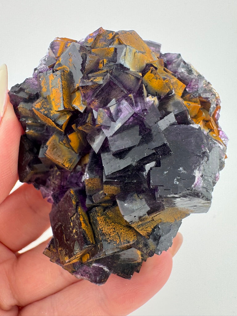 Gilded Iridescent Purple Fluorite