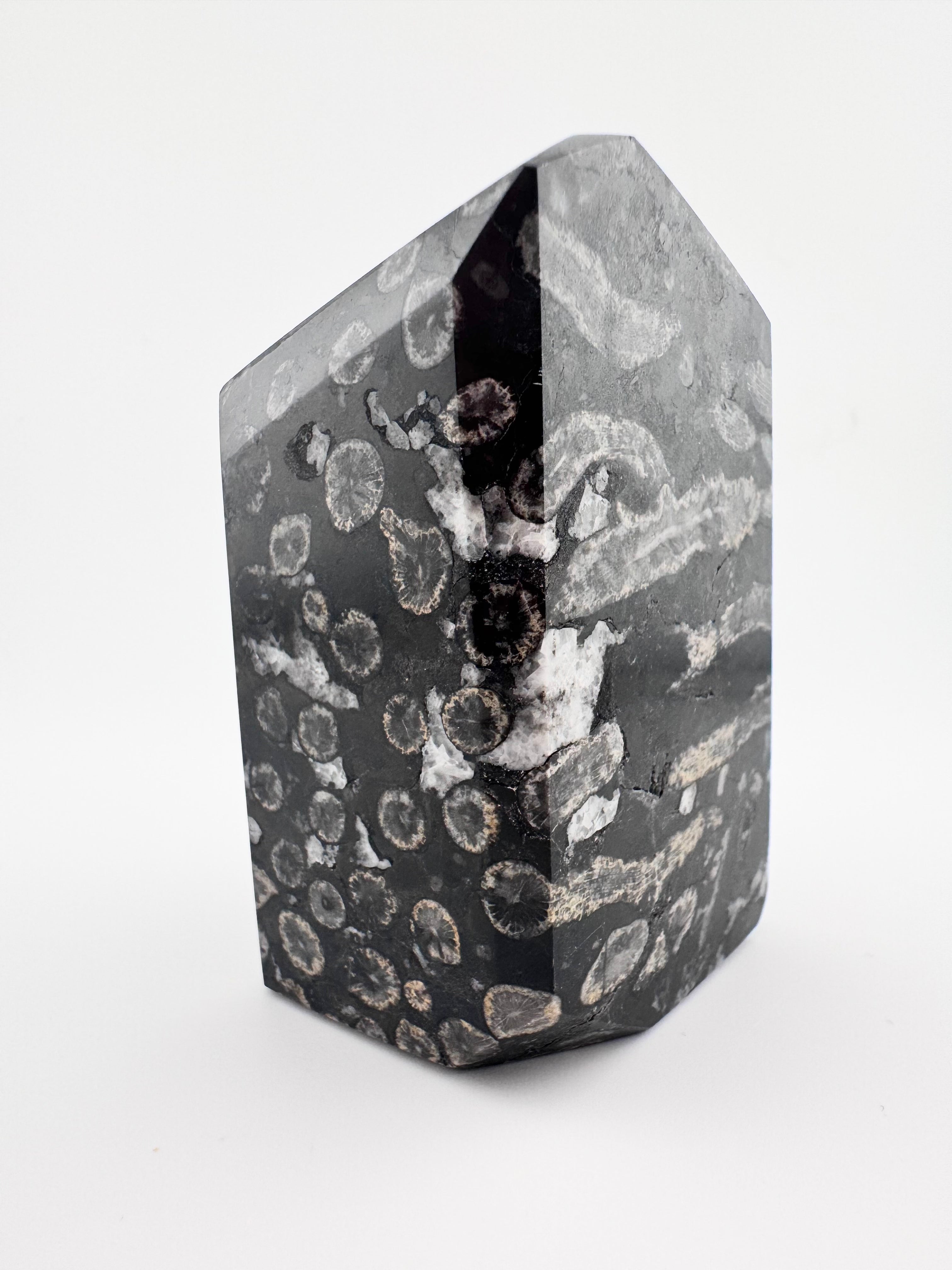 Black Coral Jade Freeform