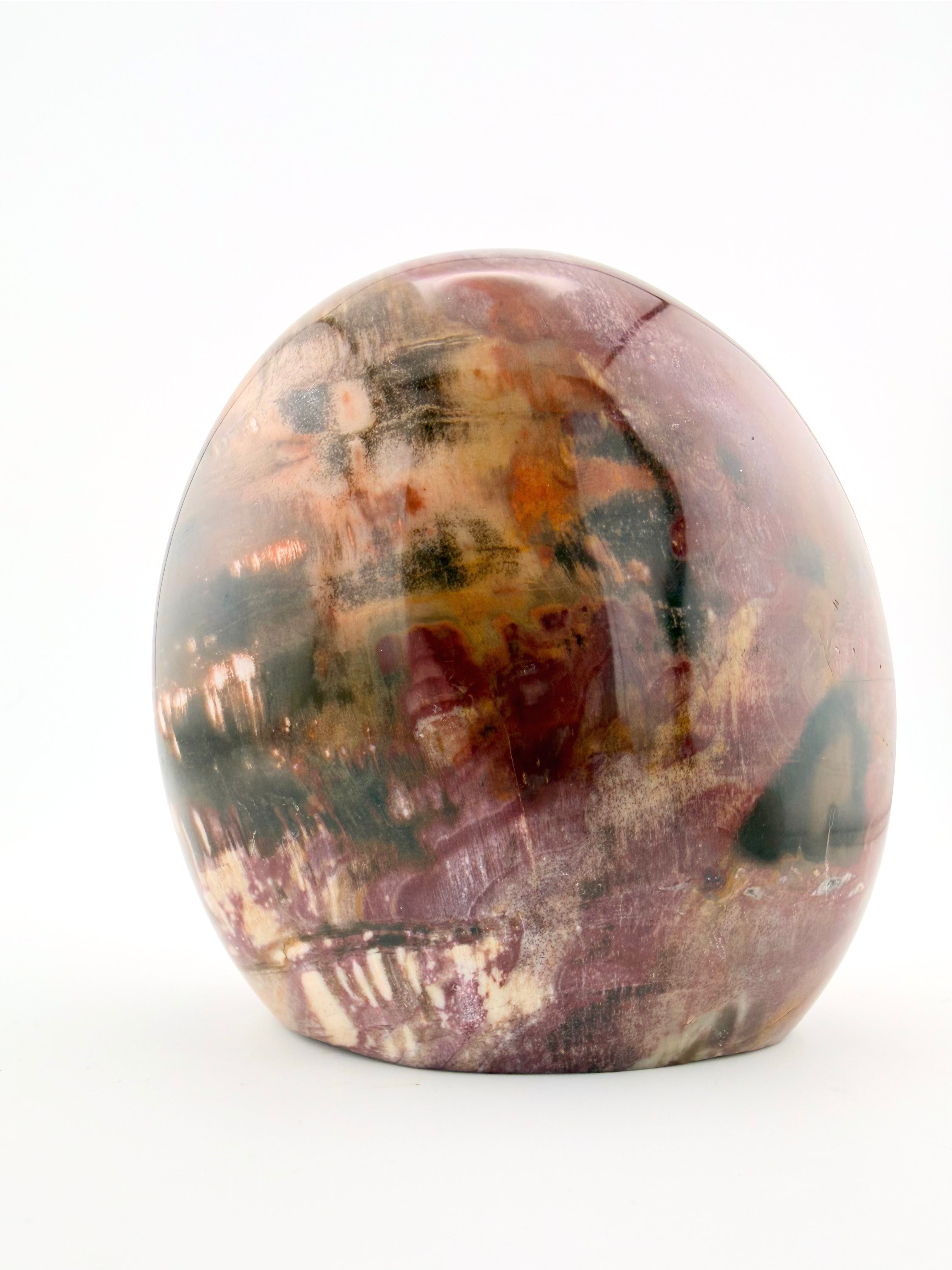 Petrified Wood Free Form