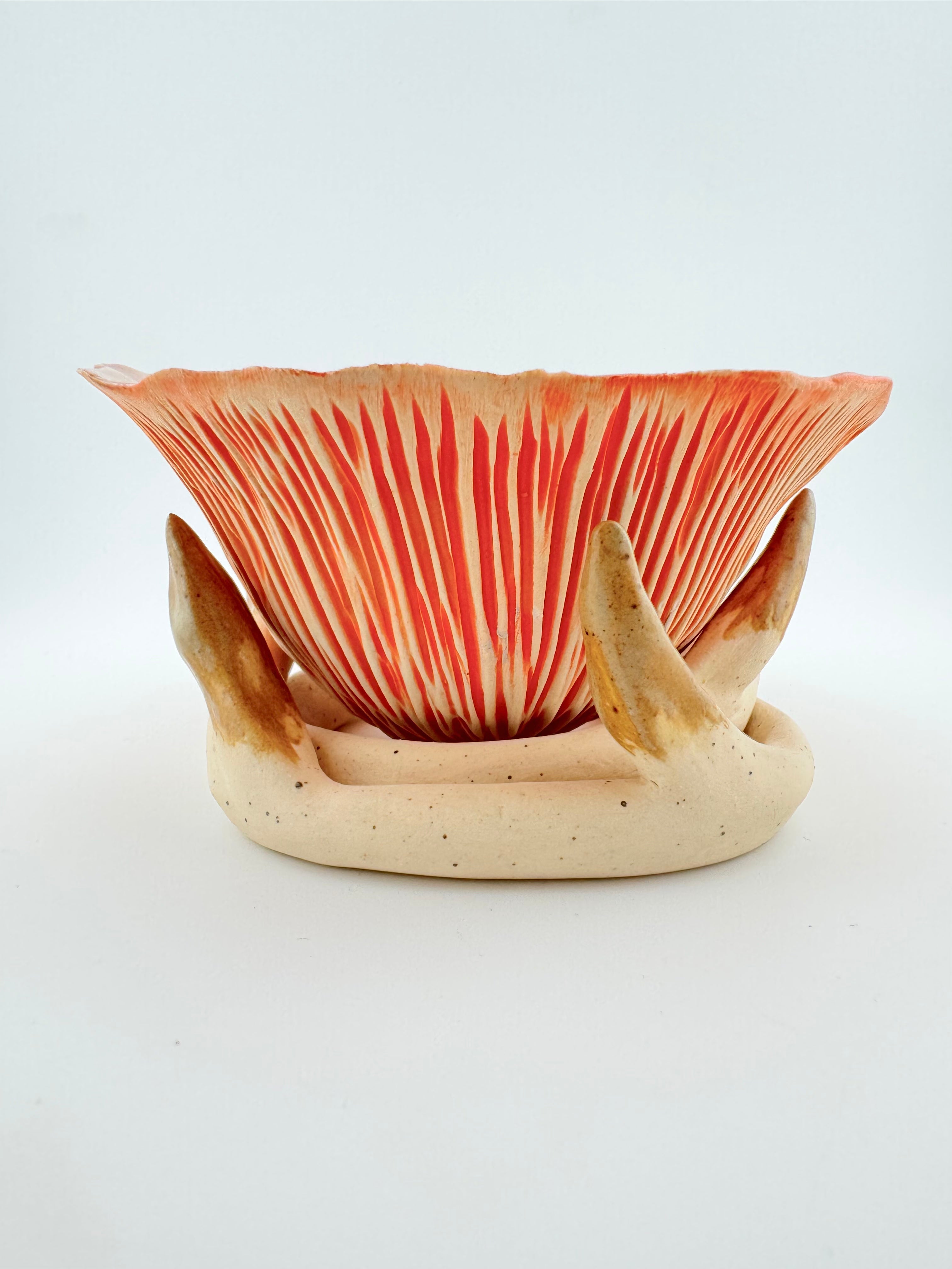 Lompar, by Sinéad Boyle