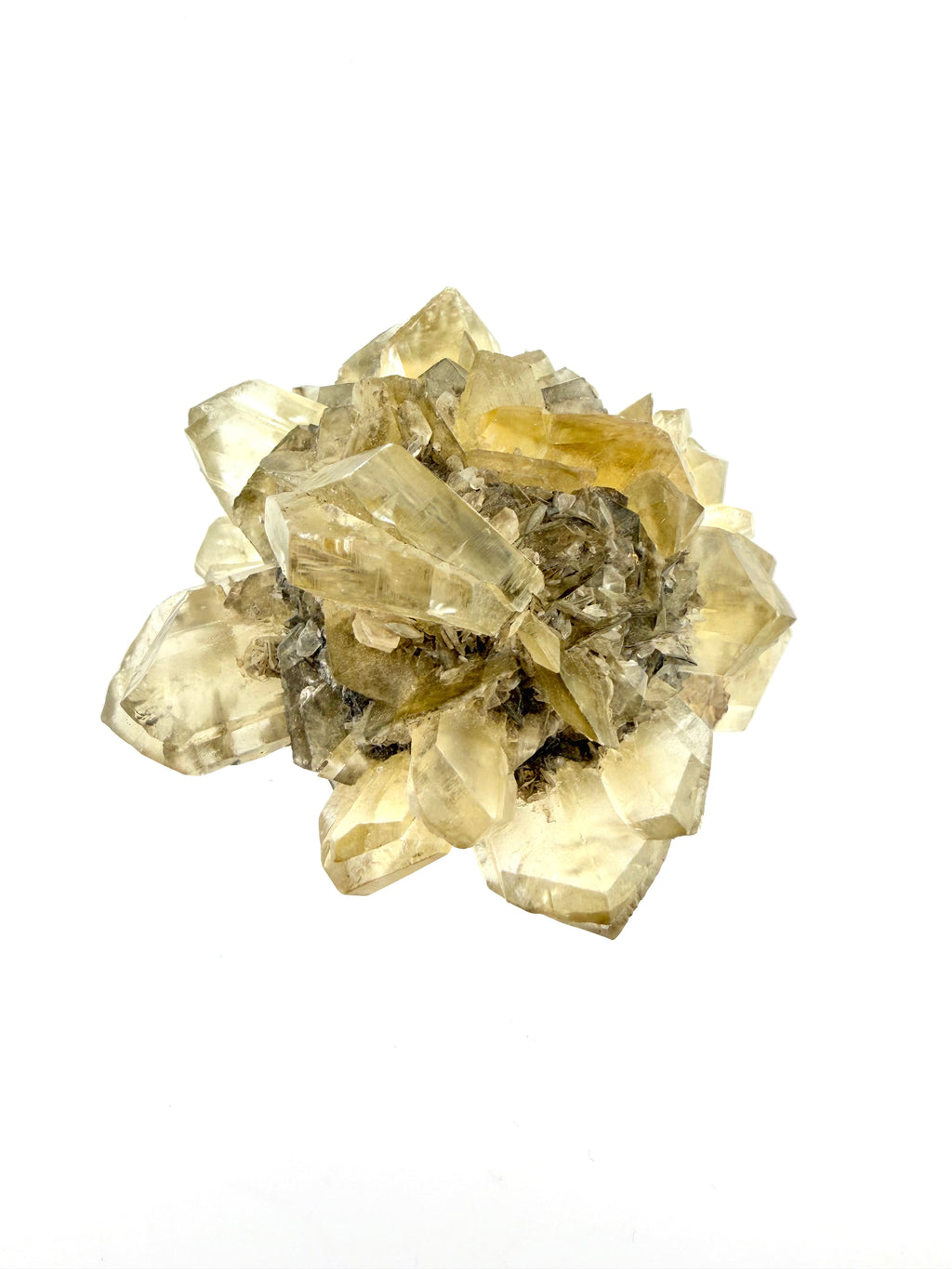 Duckbill Selenite