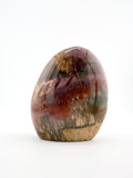 Petrified Wood Free Form
