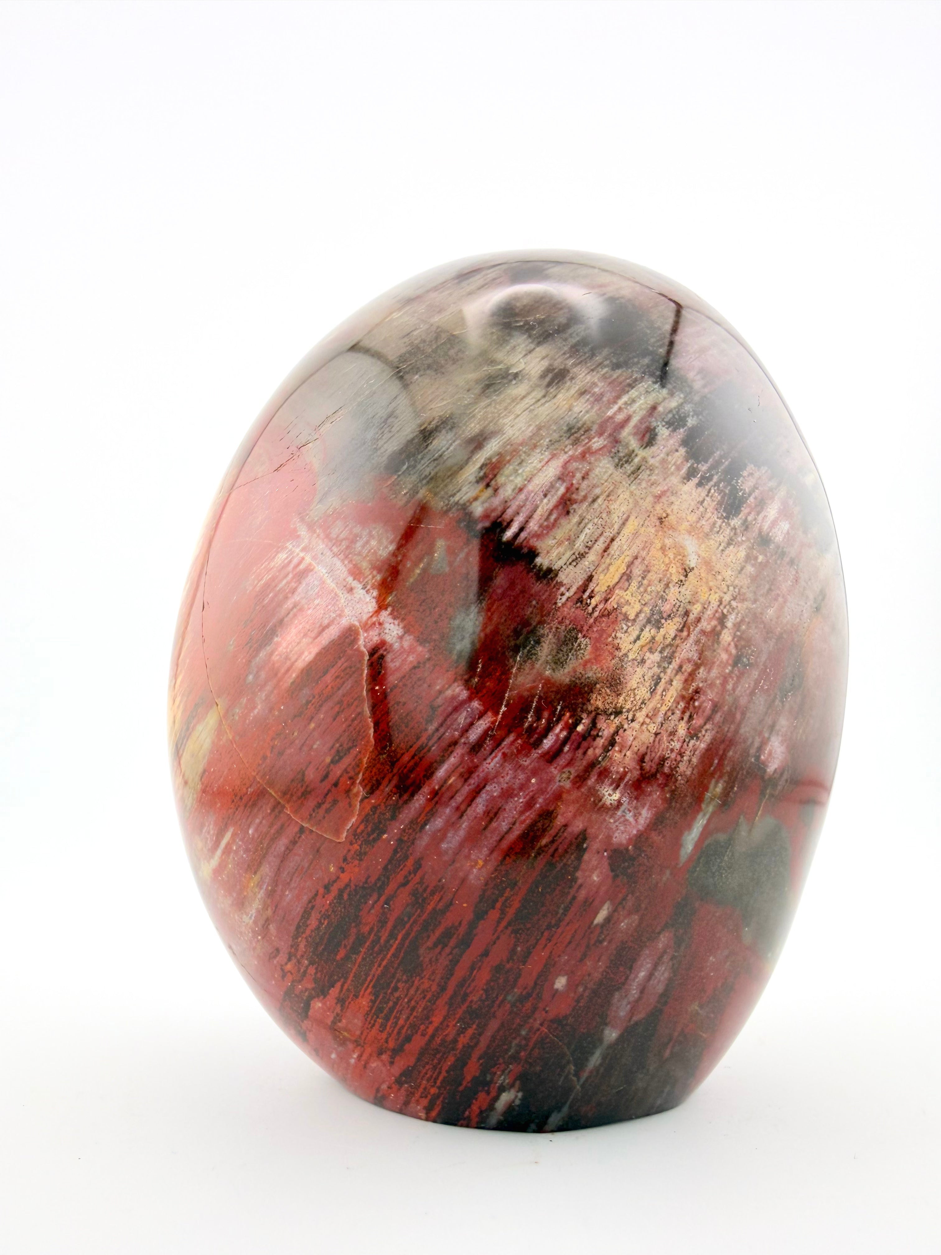 Petrified Wood Free Form