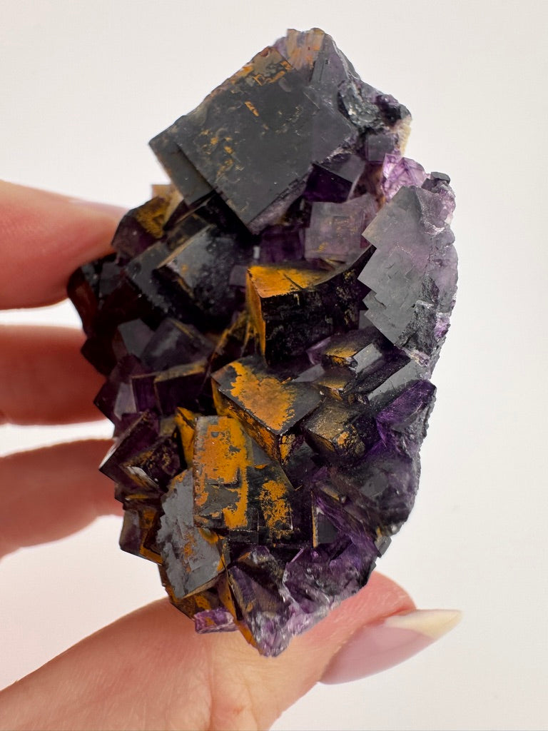 Gilded Iridescent Purple Fluorite