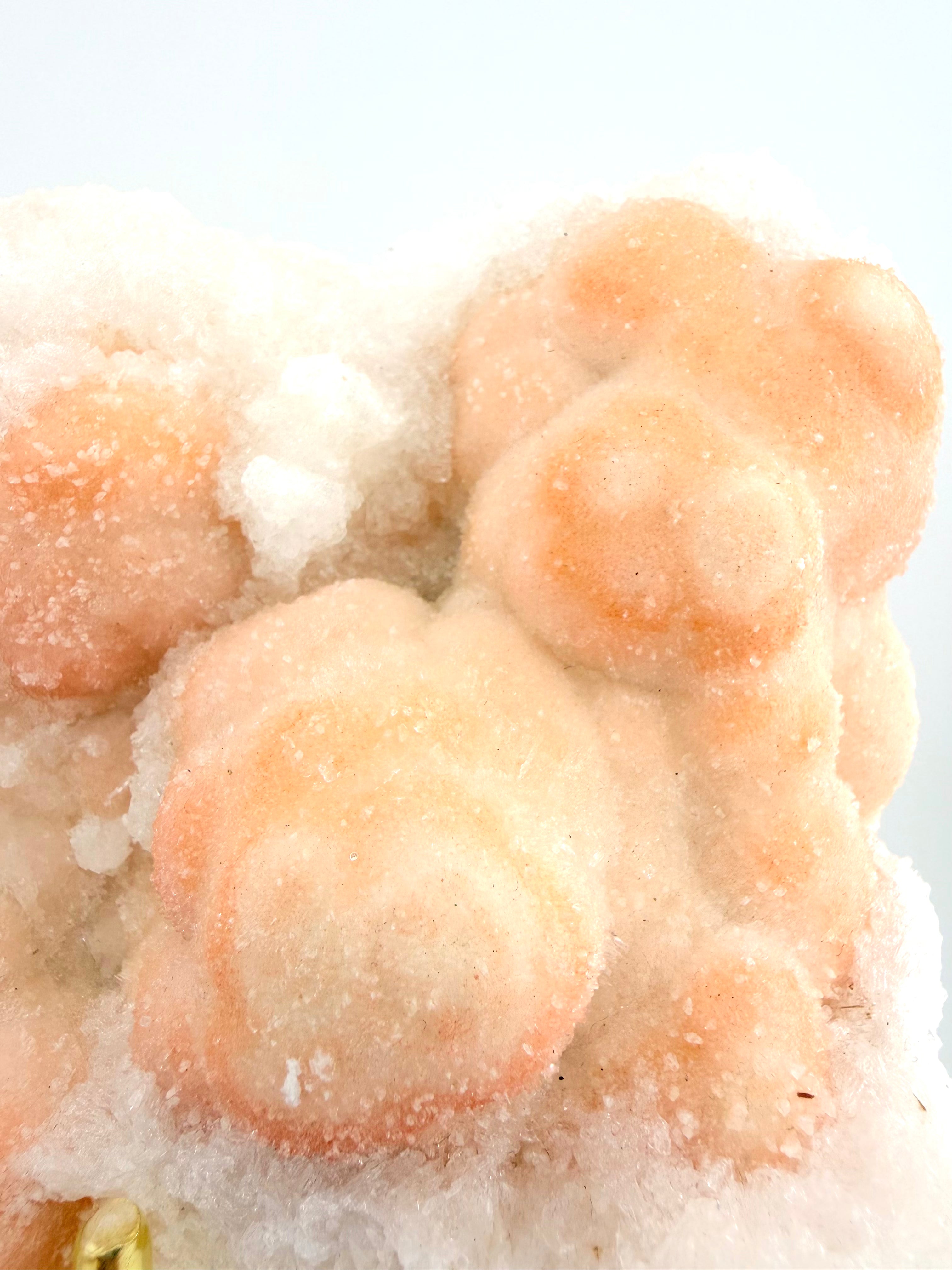 Pink Botryoidal Aragonite