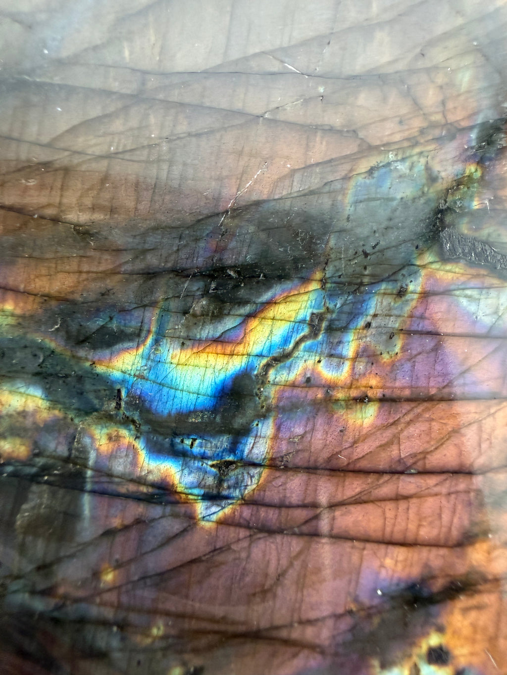 Labradorite, Toliara, Madagascar