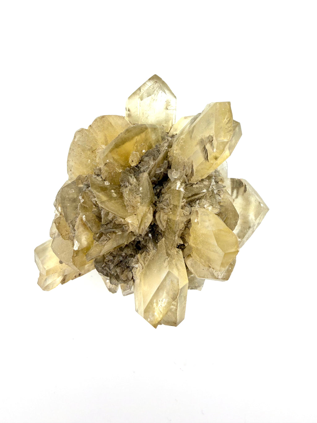 Duckbill Selenite