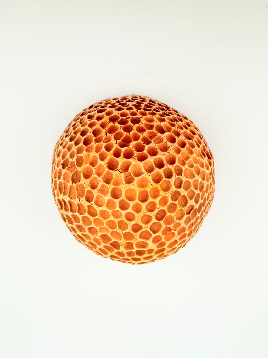 Pinch, by Sinéad Boyle