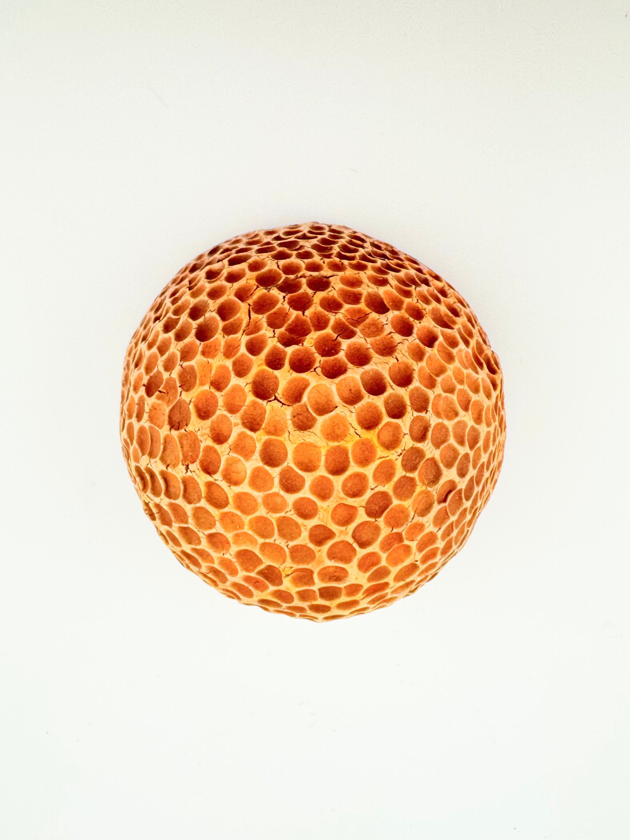 Pinch, by Sinéad Boyle