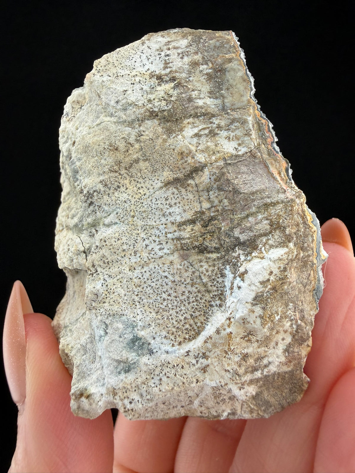 Druzy Agate, Nova Scotia, Canada