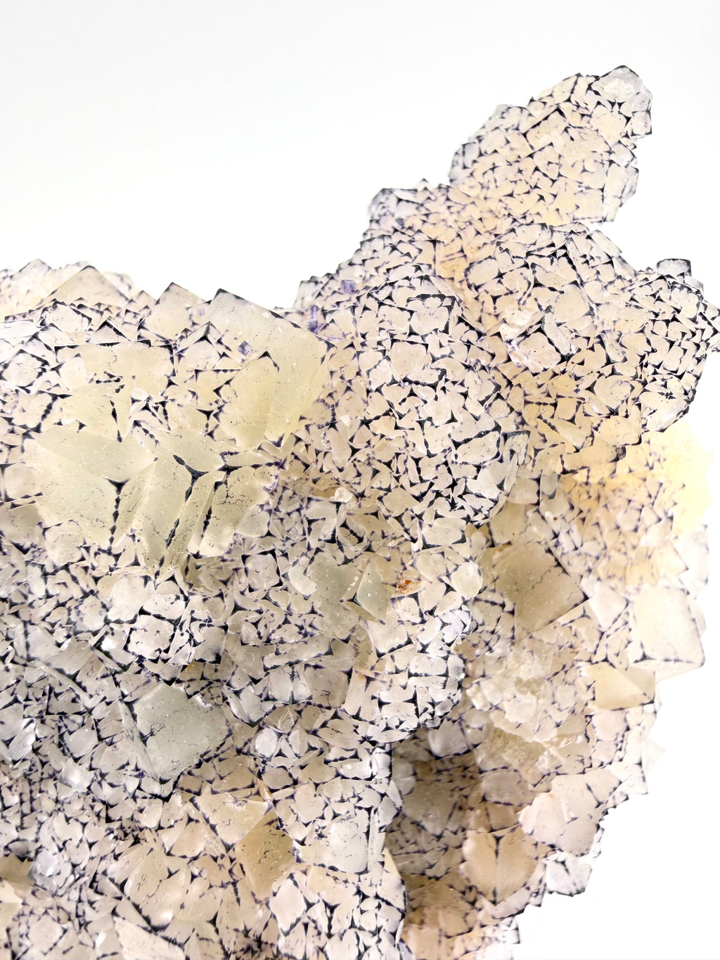 Purple Edge "QR Code" Fluorite