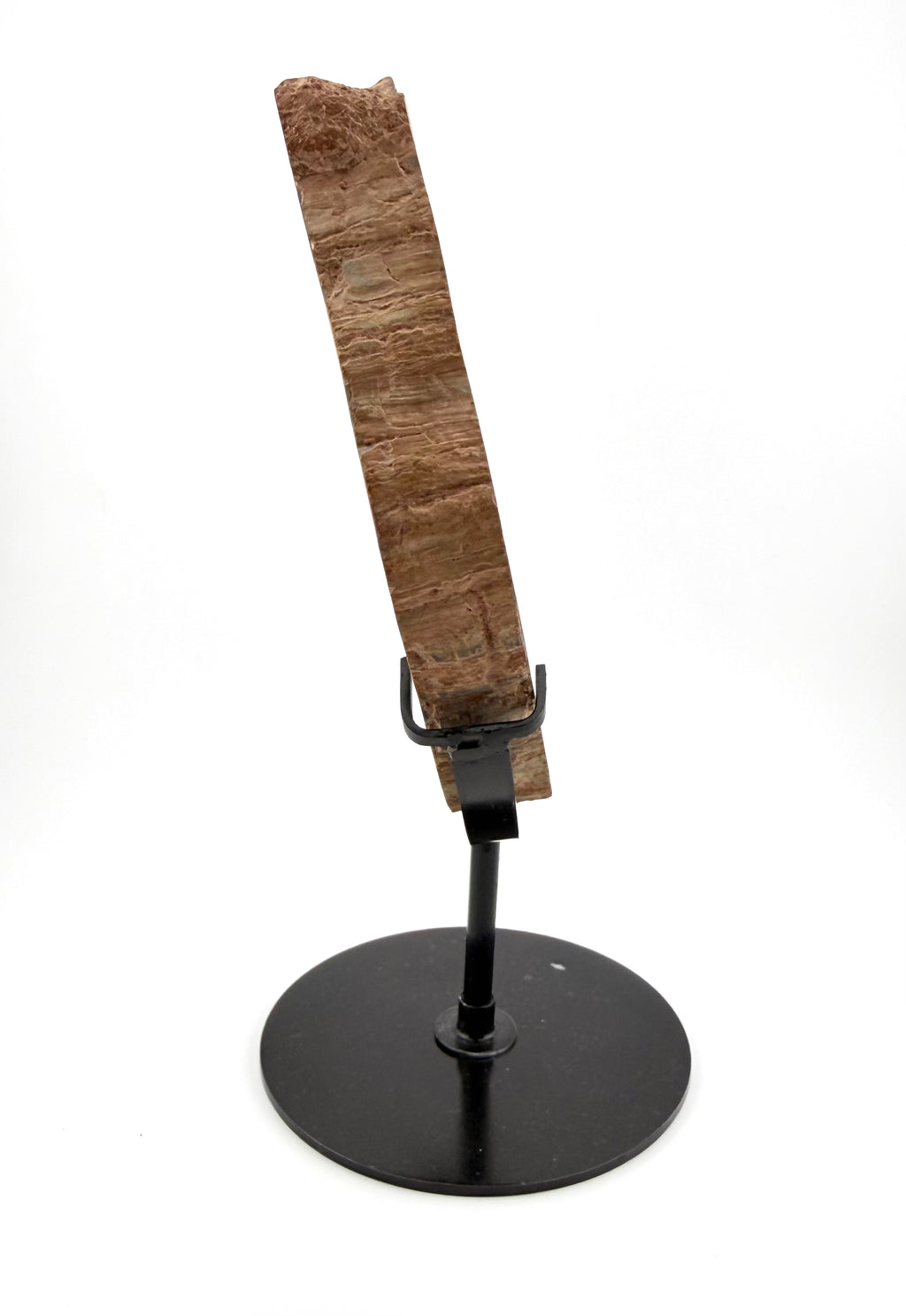 Petrified Wood