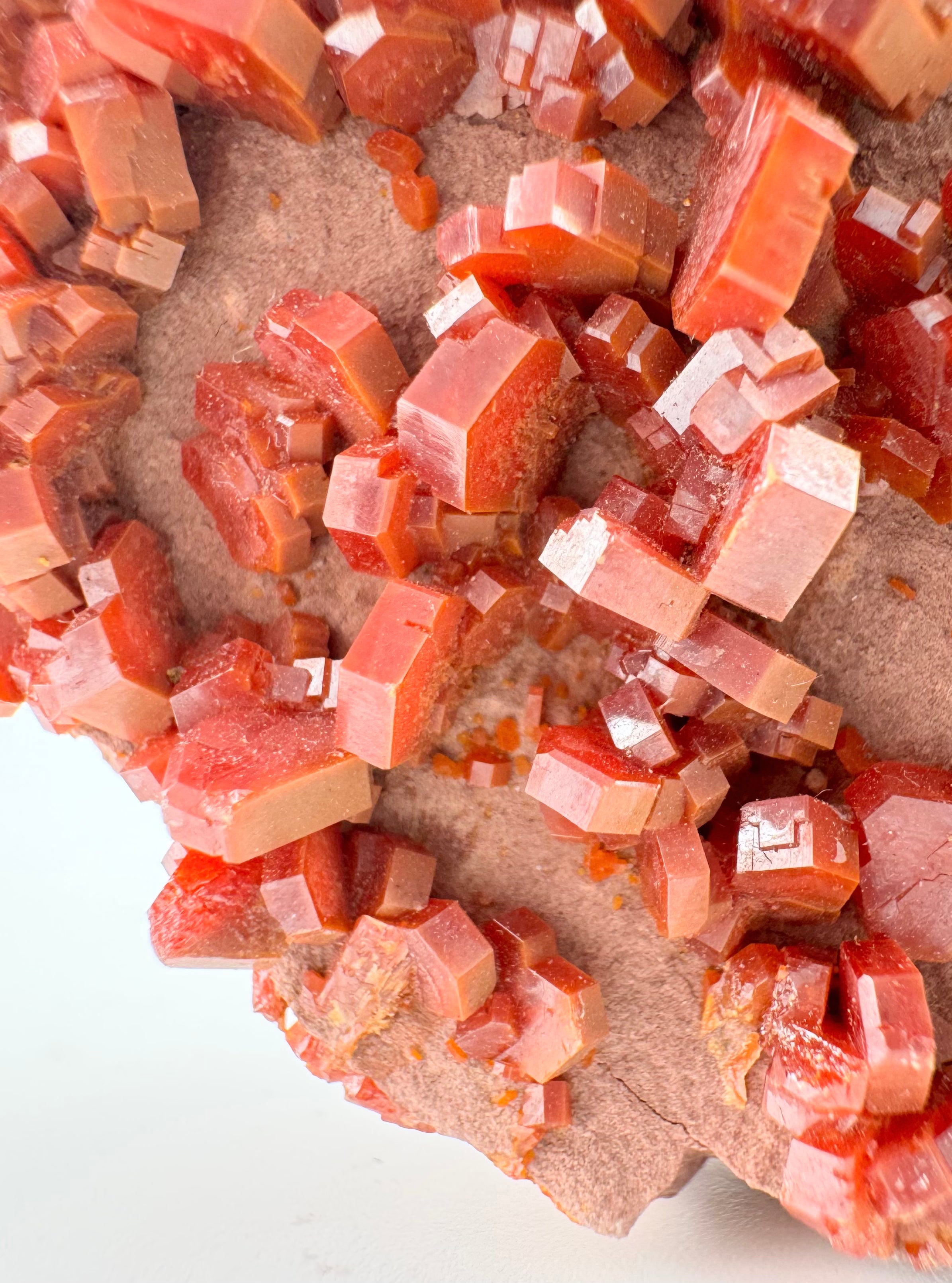 Vanadinite on Pink Sandstone