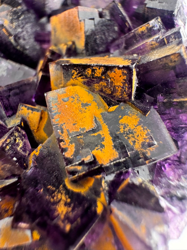 Gilded Iridescent Purple Fluorite
