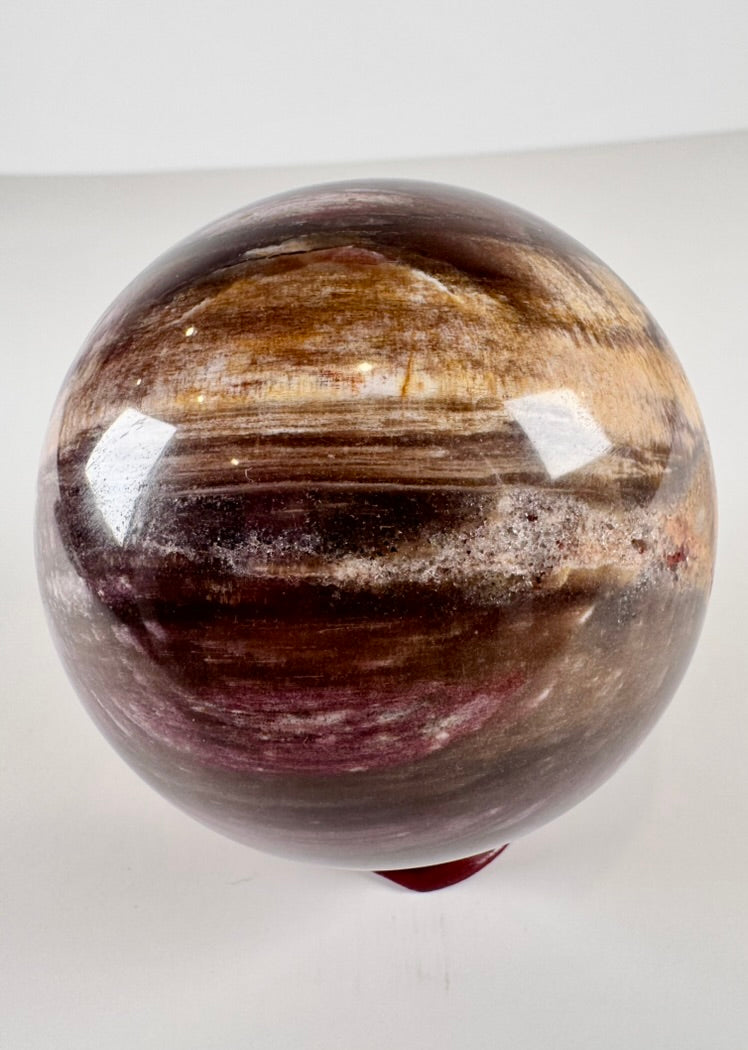 Petrified Wood Sphere