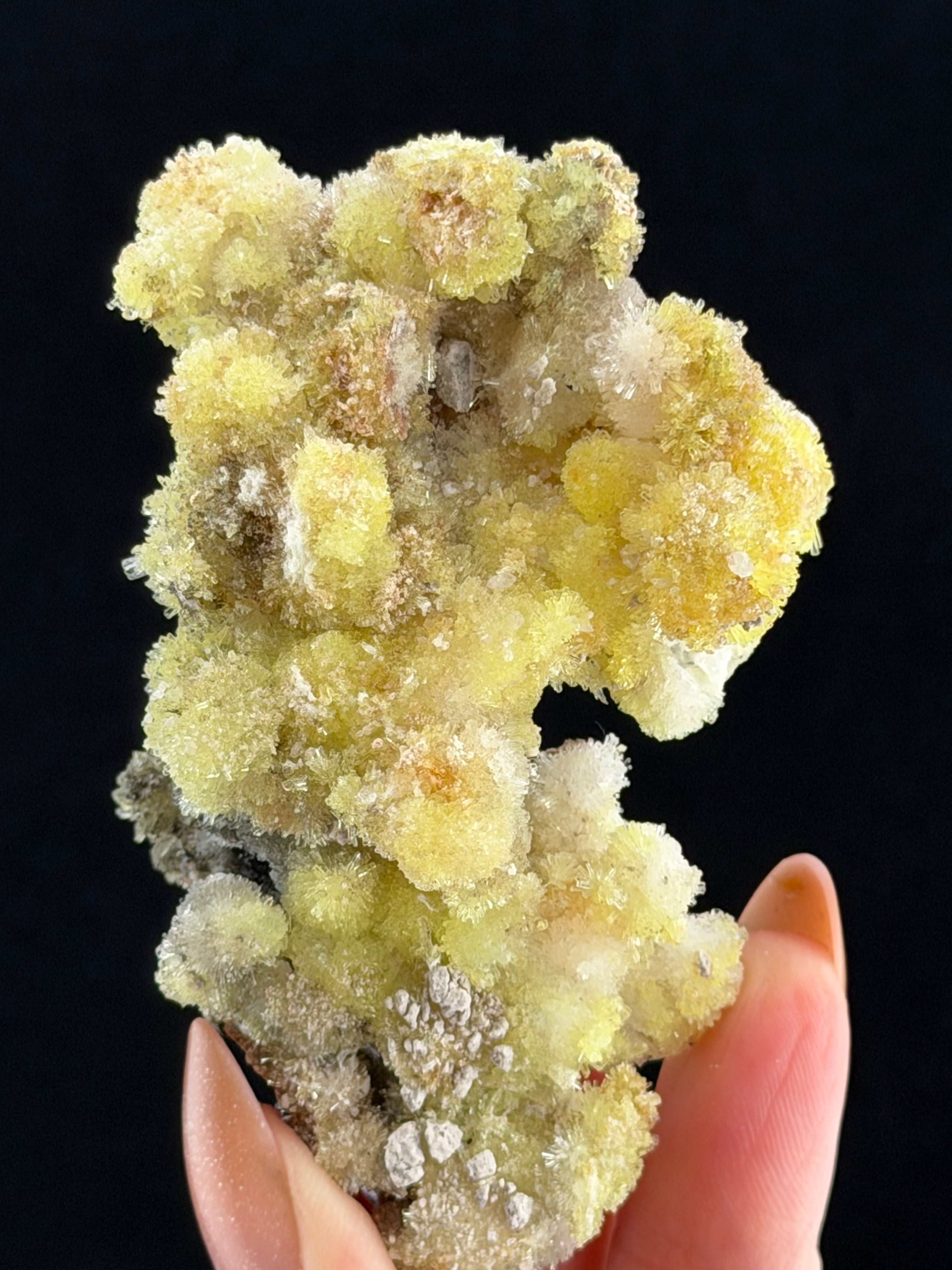 Green Creedite, Guizhou, China