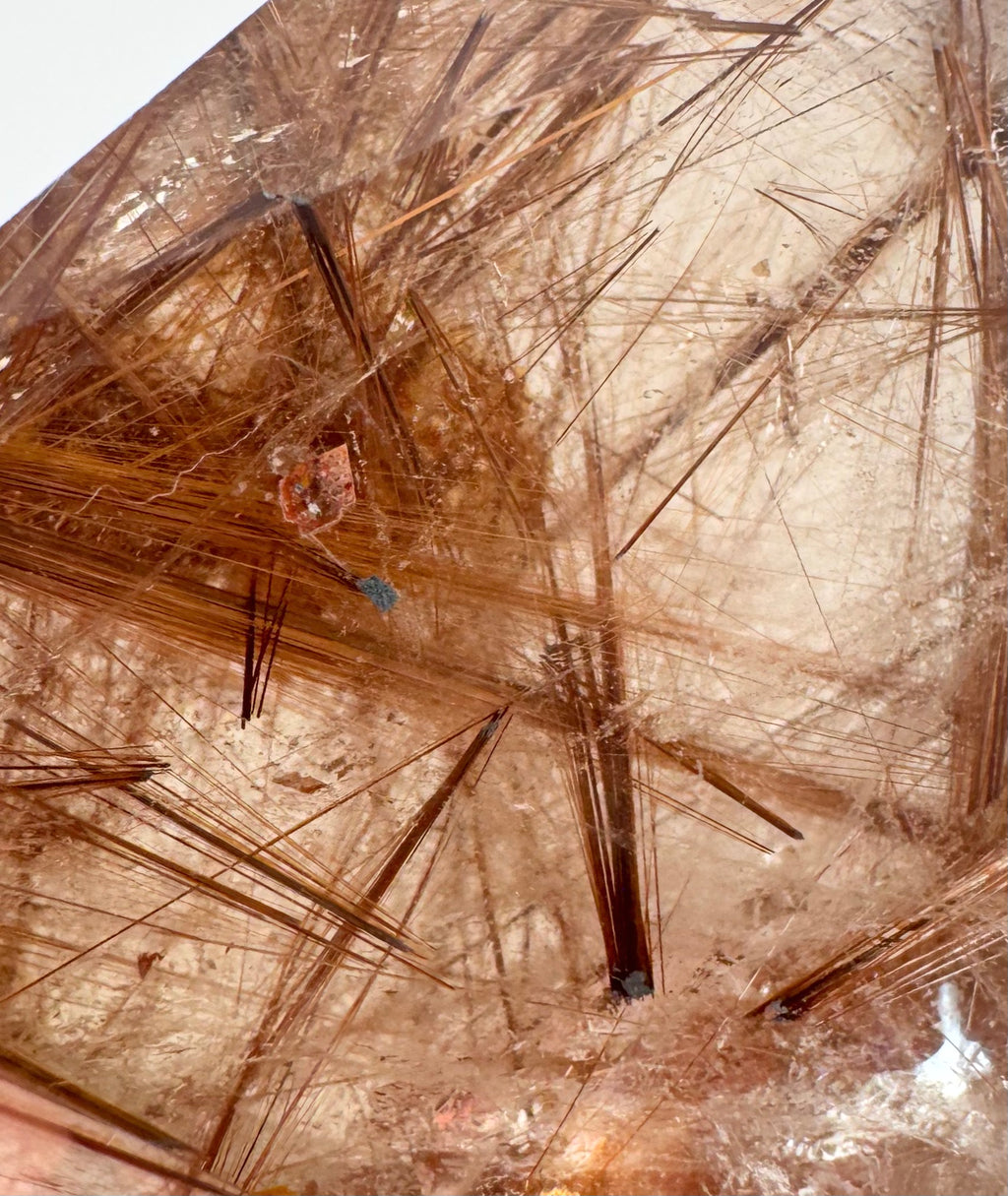 Golden Rutile Quartz Freeform