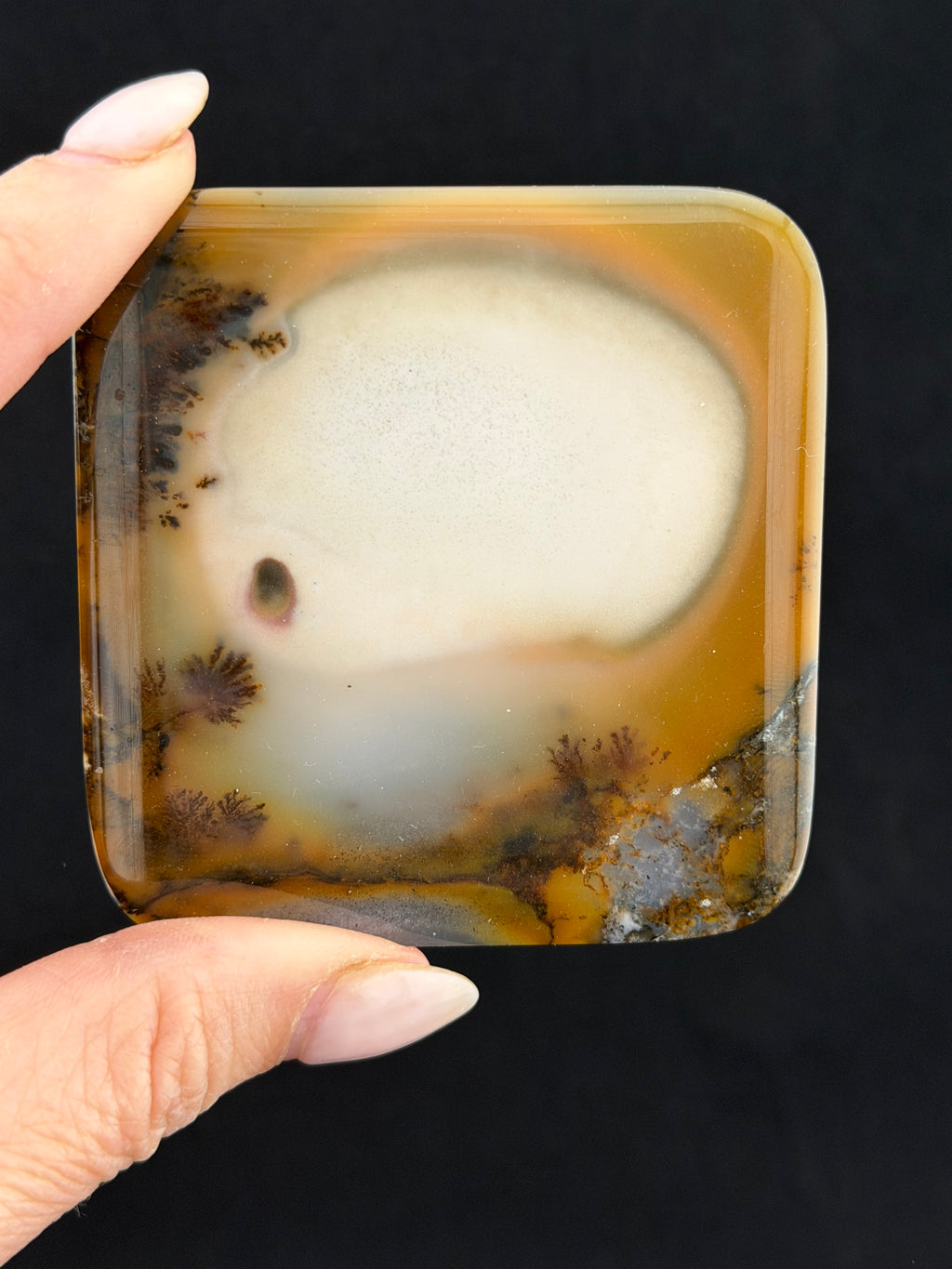 Dendridic Agate, Kazakhsan