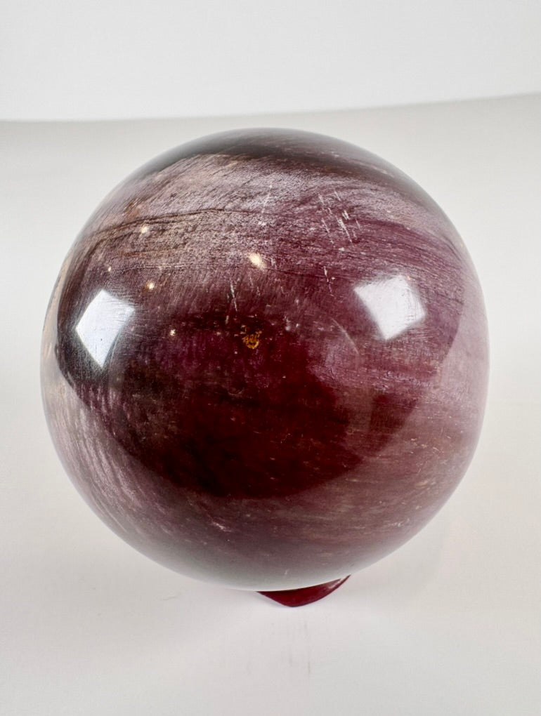 Petrified Wood Sphere
