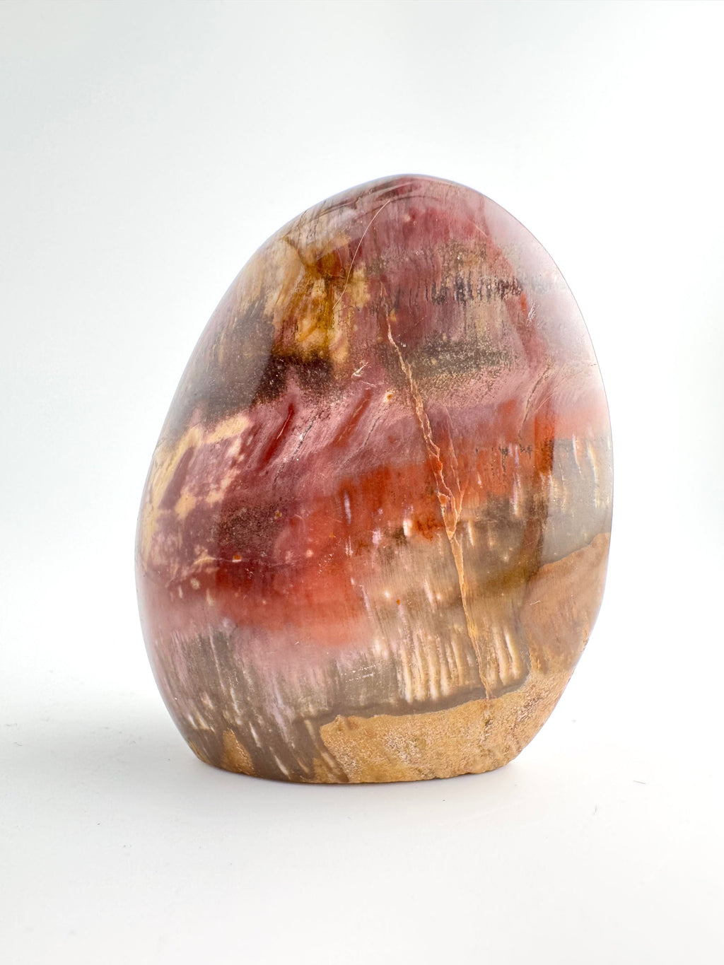 Petrified Wood Free Form