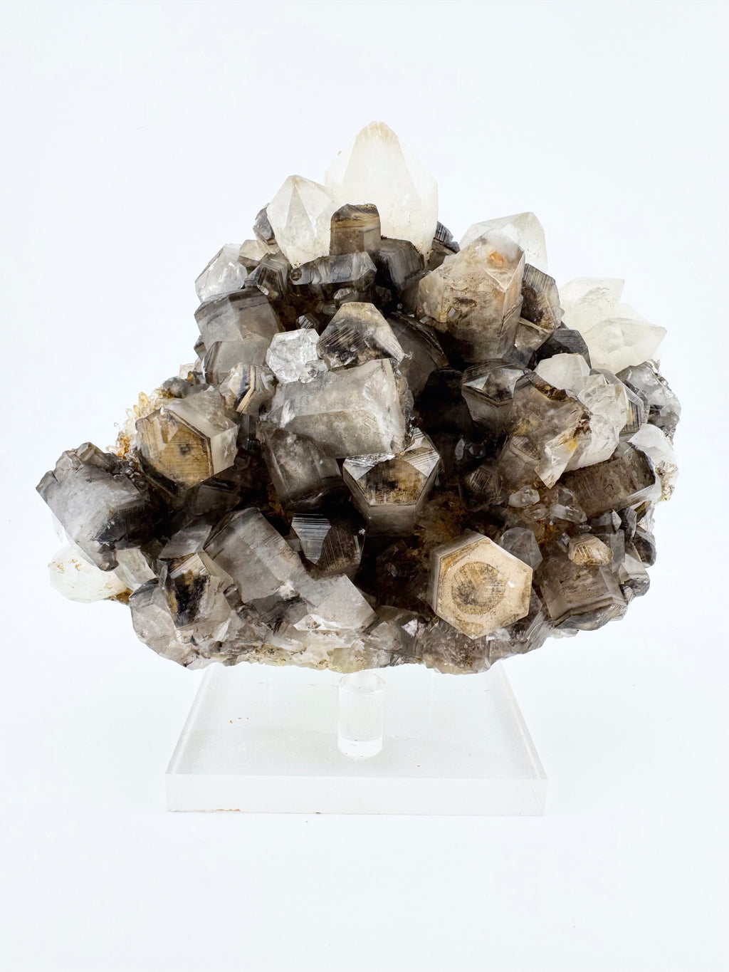 Columnar Benz Calcite (panda) and Quartz Cluster