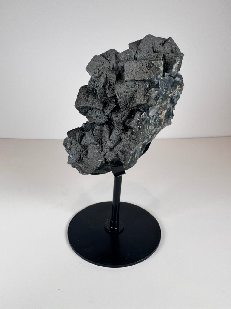 Dark Green Cubic Fluorite and Pyrite on Black Metal Stand