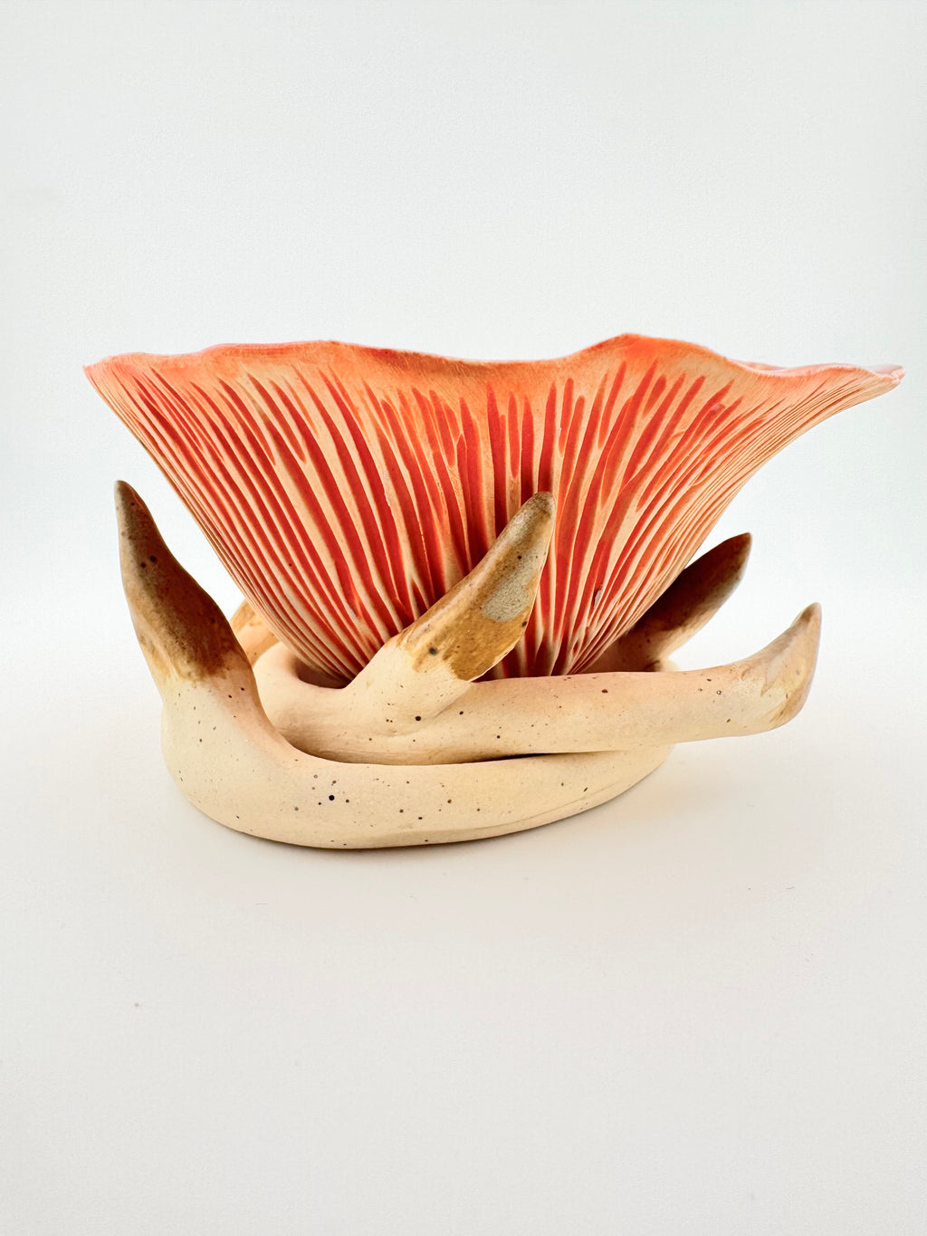 Lompar, by Sinéad Boyle