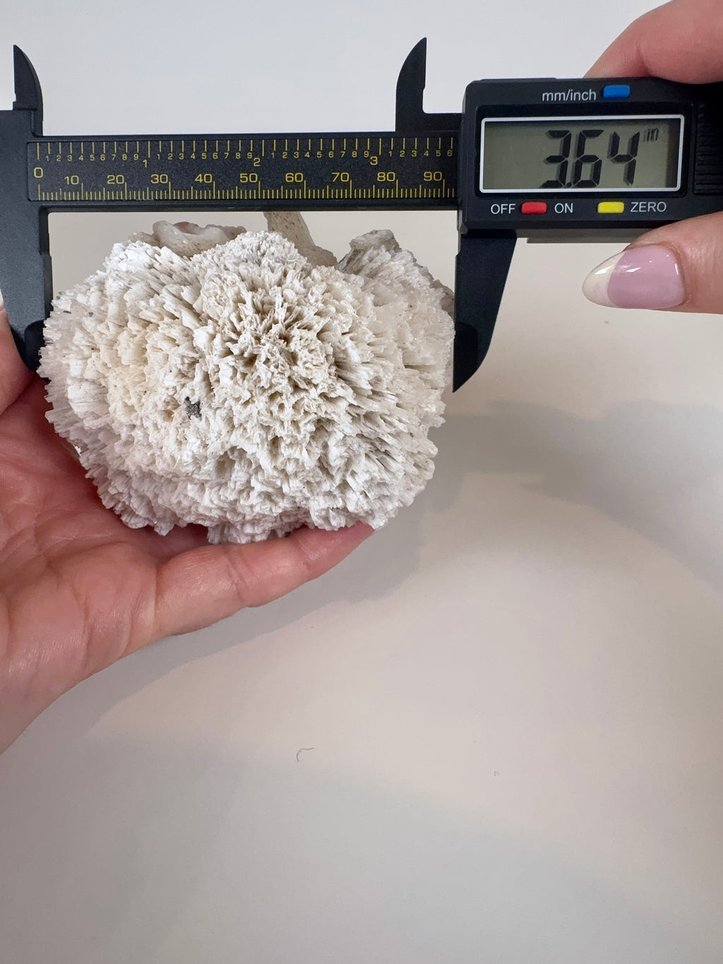 Scolecite and Stilbite