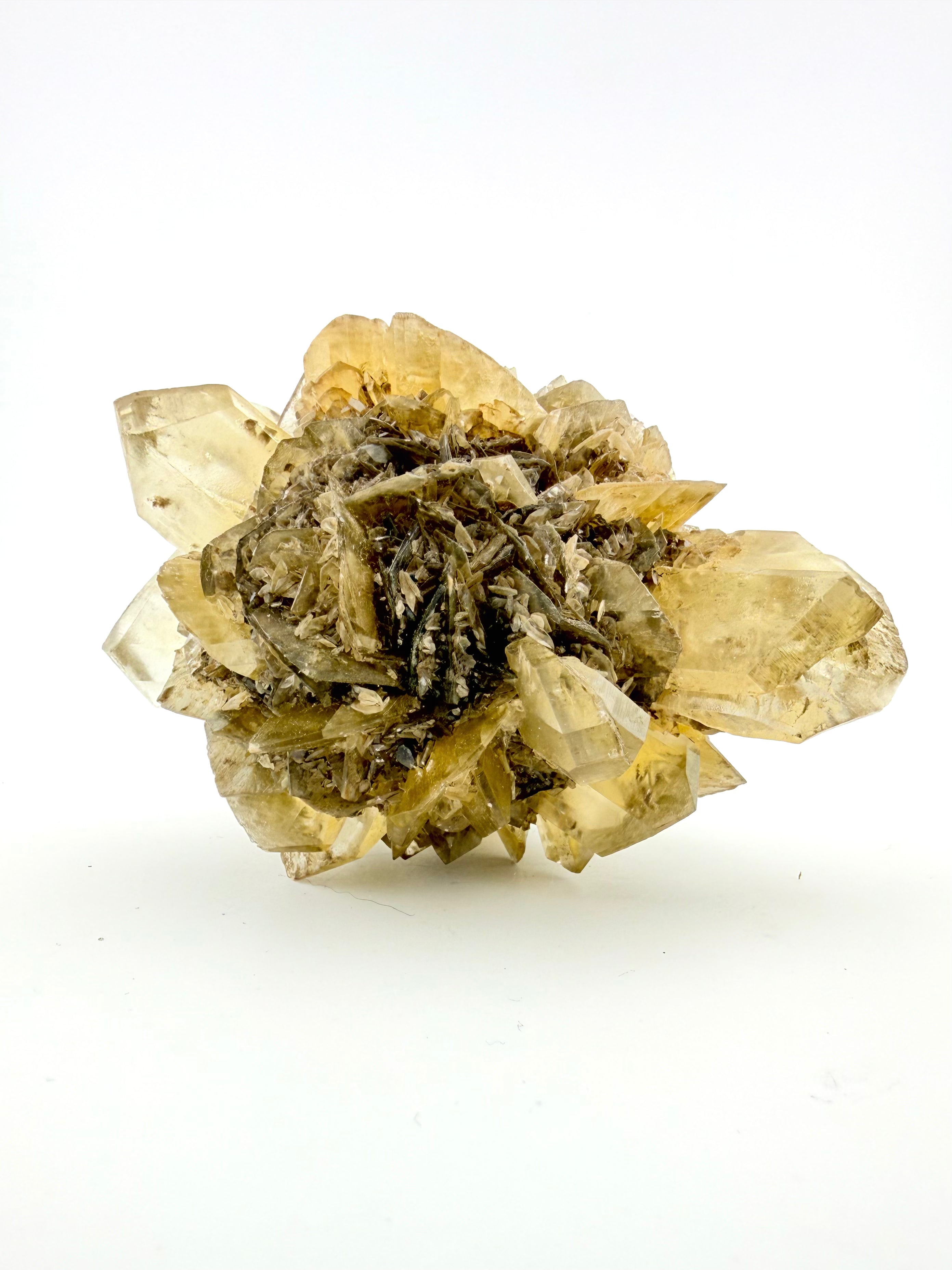 Duckbill Selenite