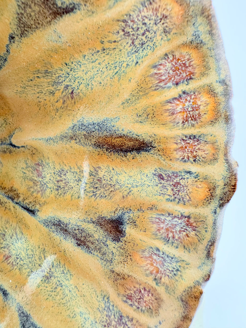 Held, by Sinéad Boyle