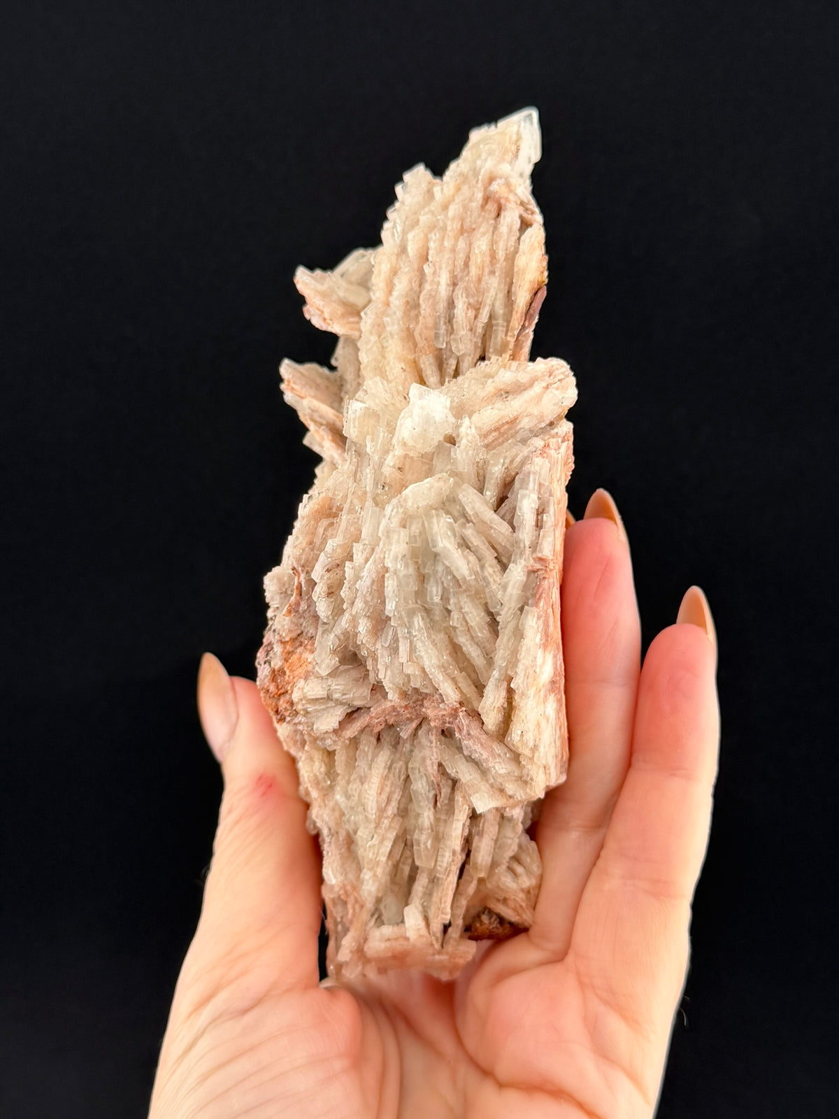Pink Barite, Nova Scotia, Canada