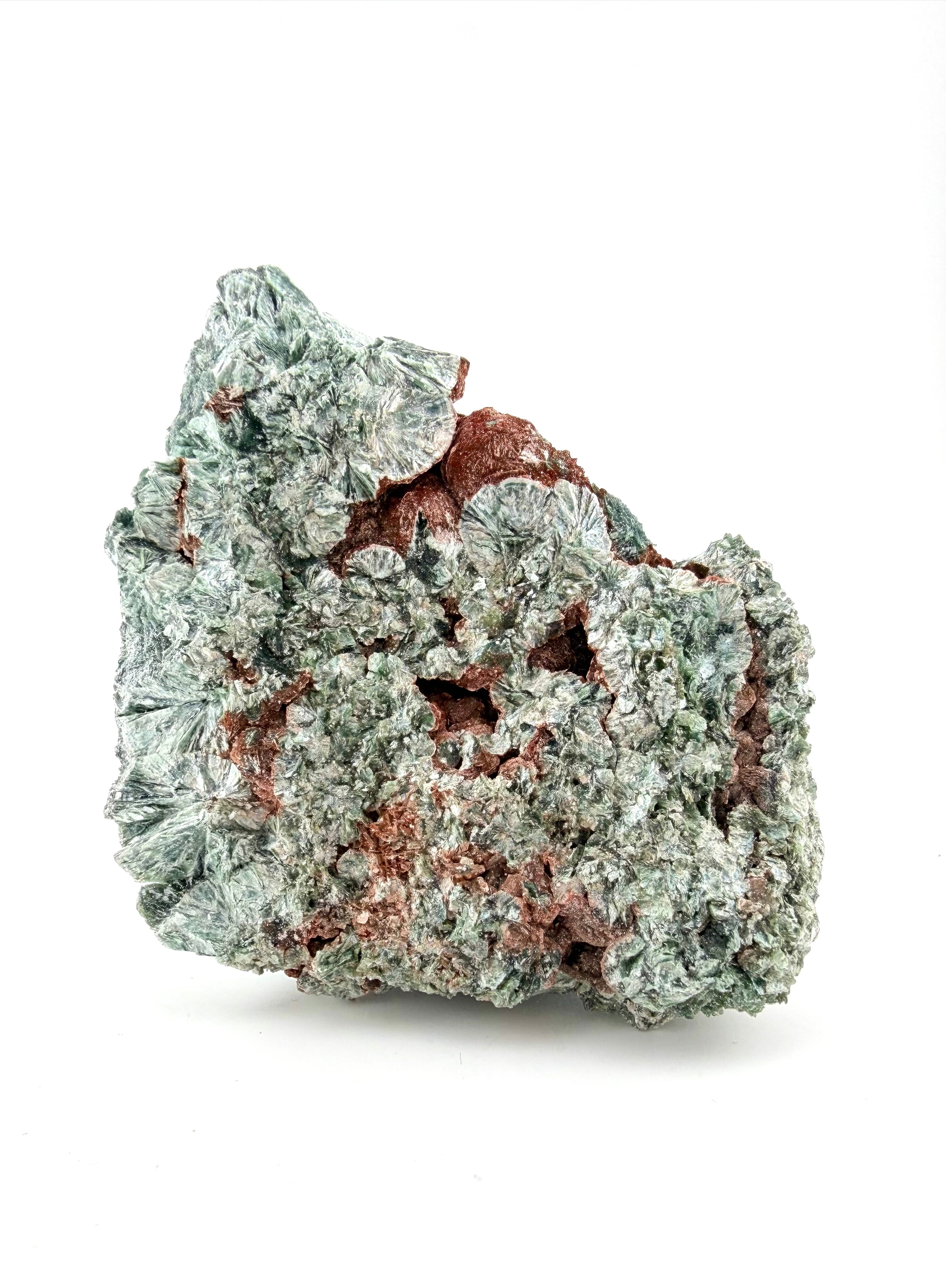 Seraphinite Bloom