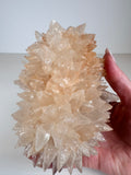 Pink Dogtooth Calcite Hedgehog