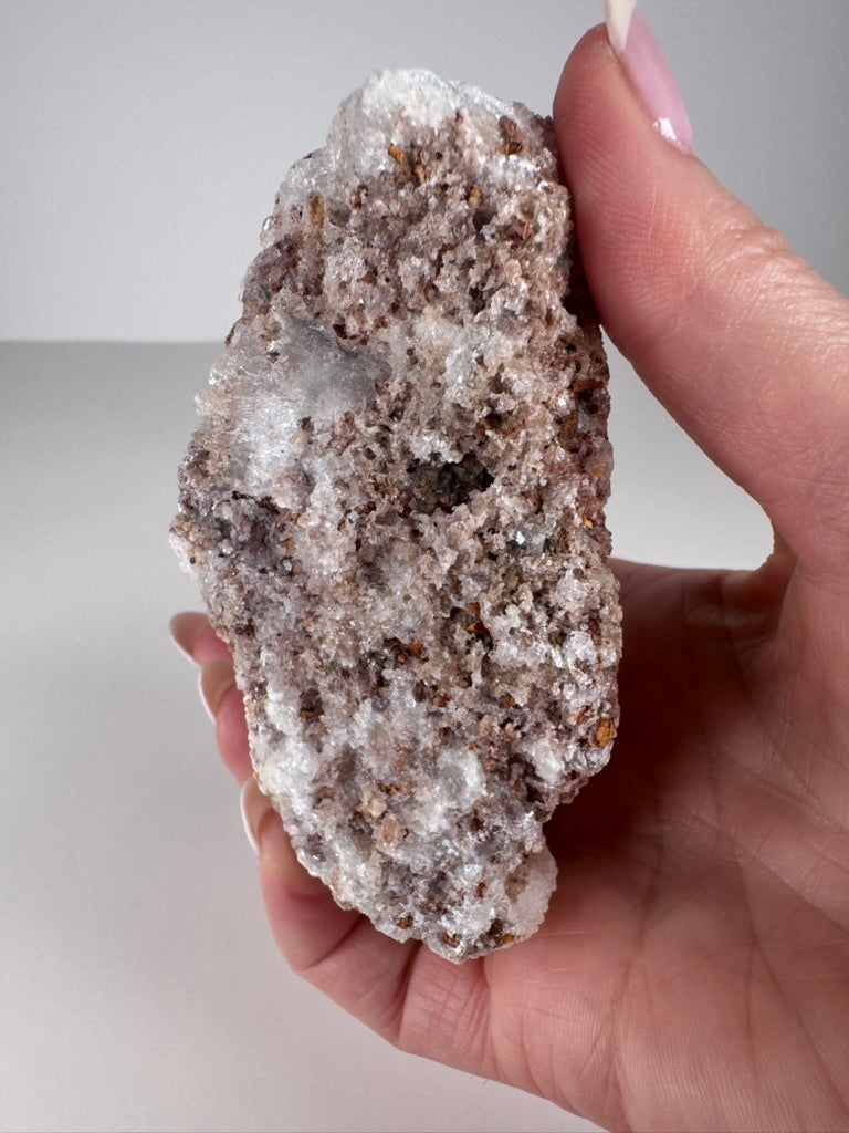 Rams Horn Selenite Specimen