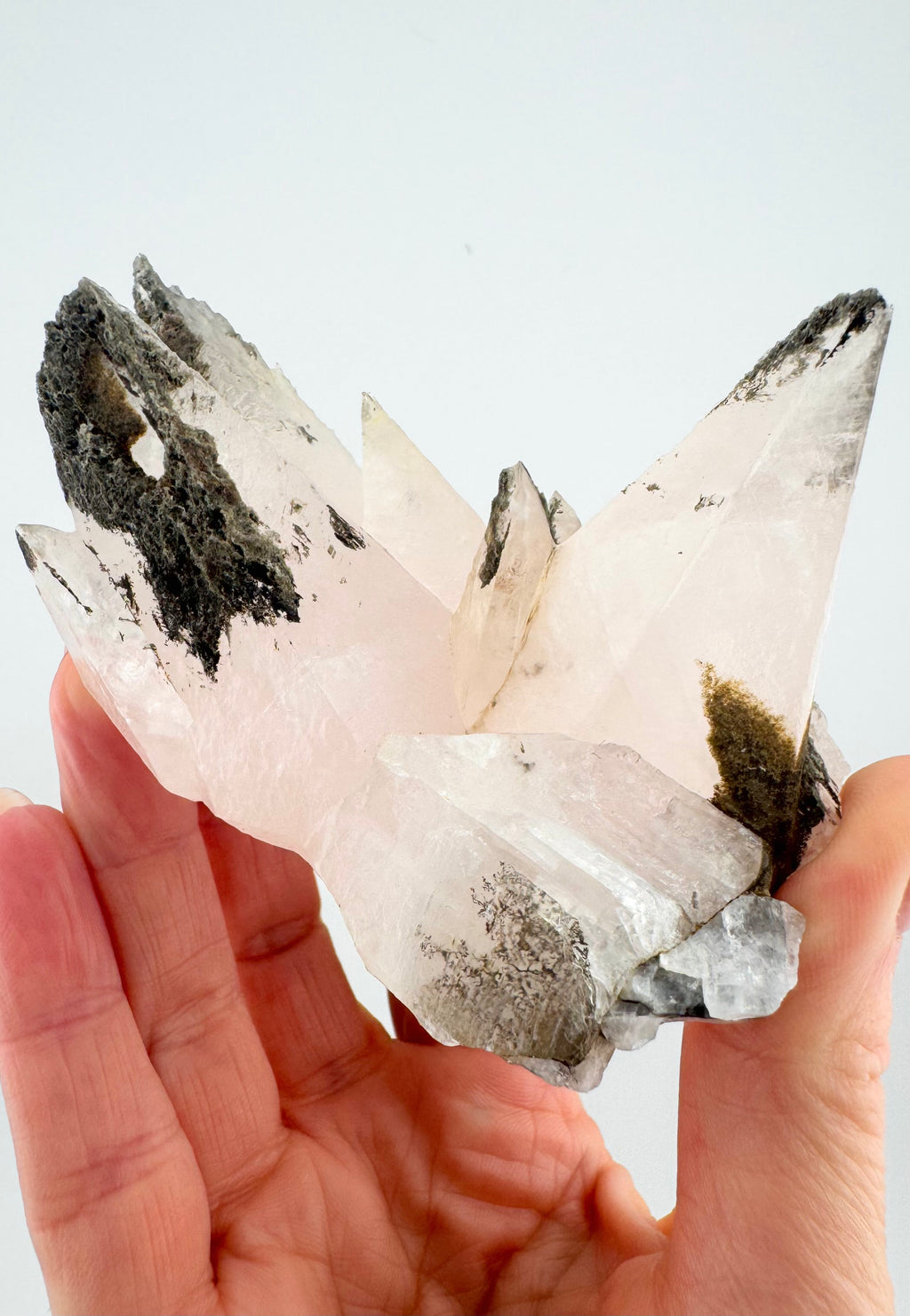 Pink Calcite with Chlorite