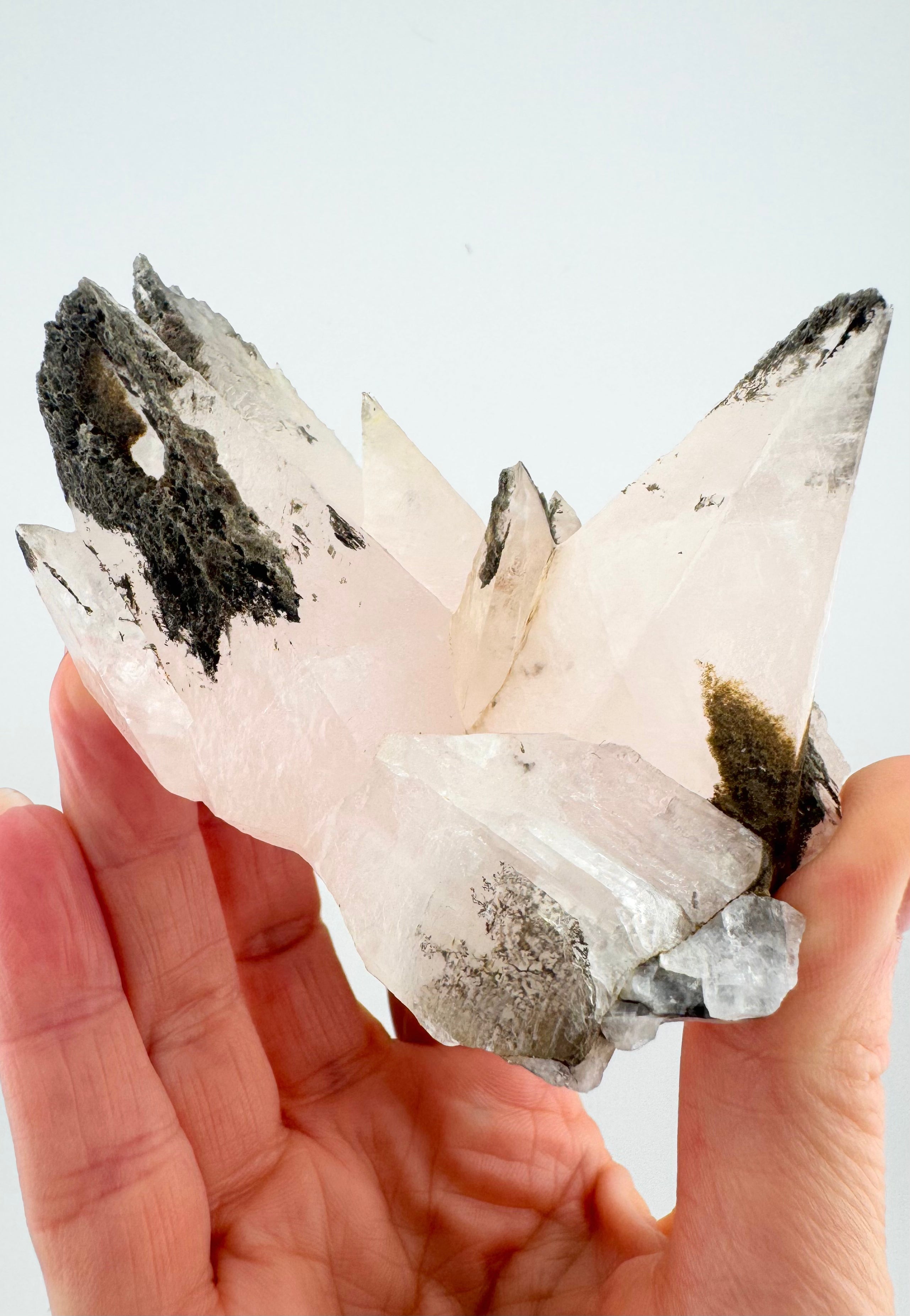 Pink Calcite with Chlorite