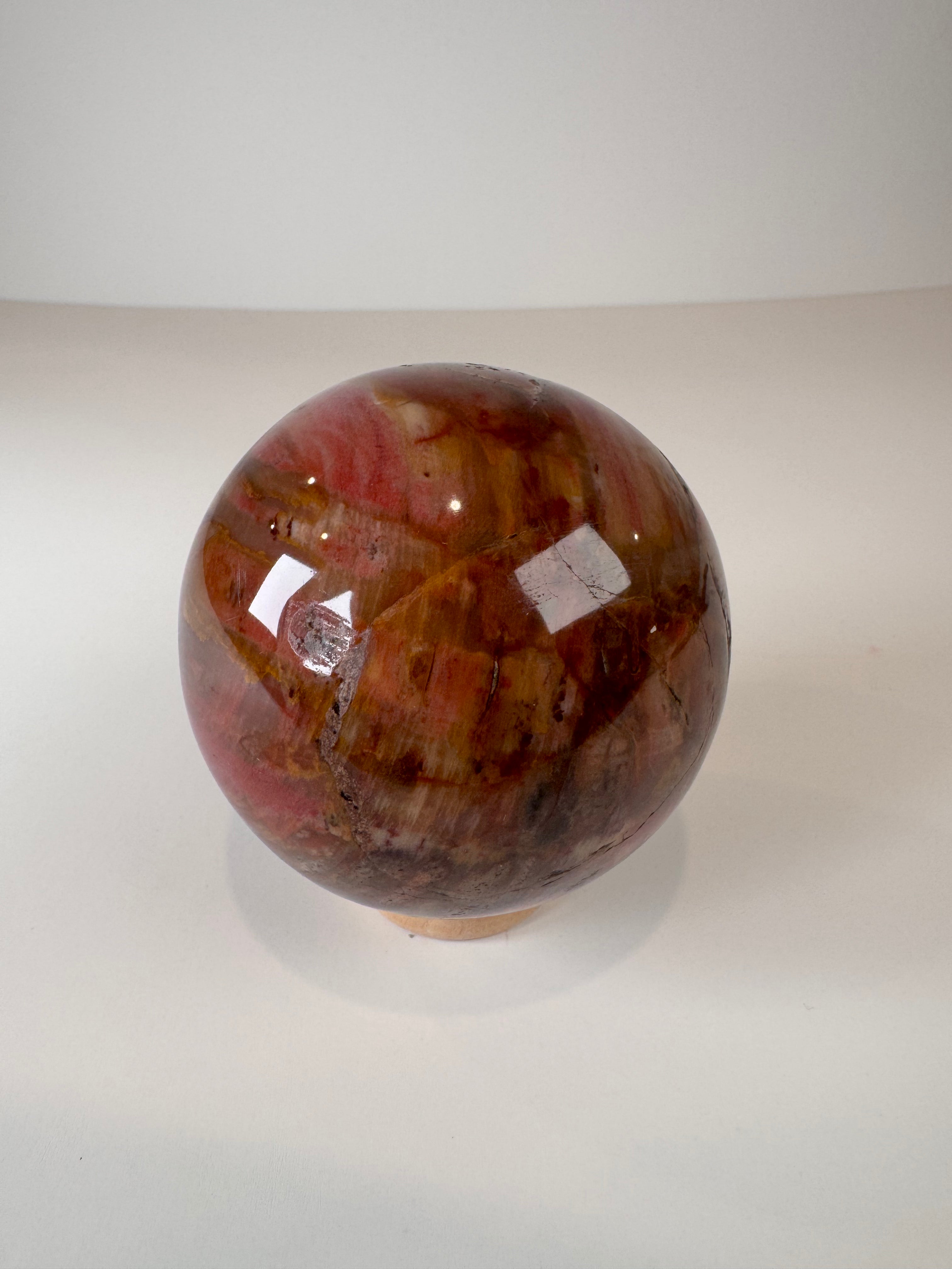 Petrified Wood Sphere