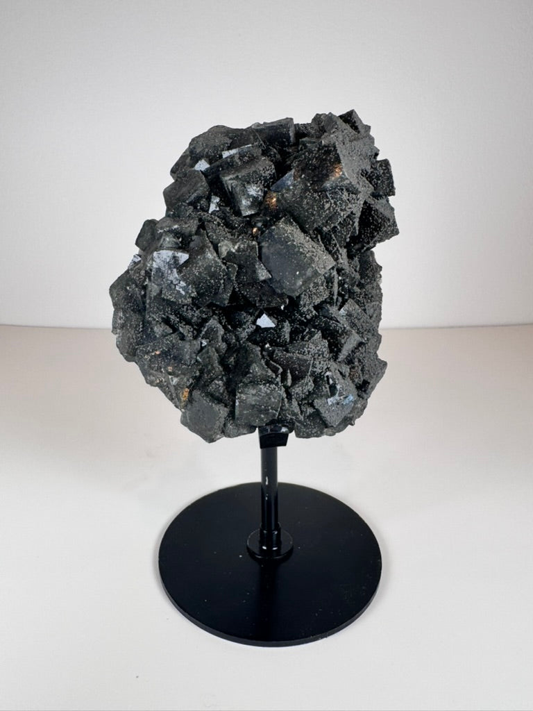 Dark Green Cubic Fluorite and Pyrite on Black Metal Stand