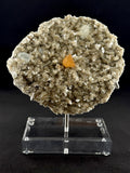 Aquamarine, Scheelite and Muscovite, Sichuan, China