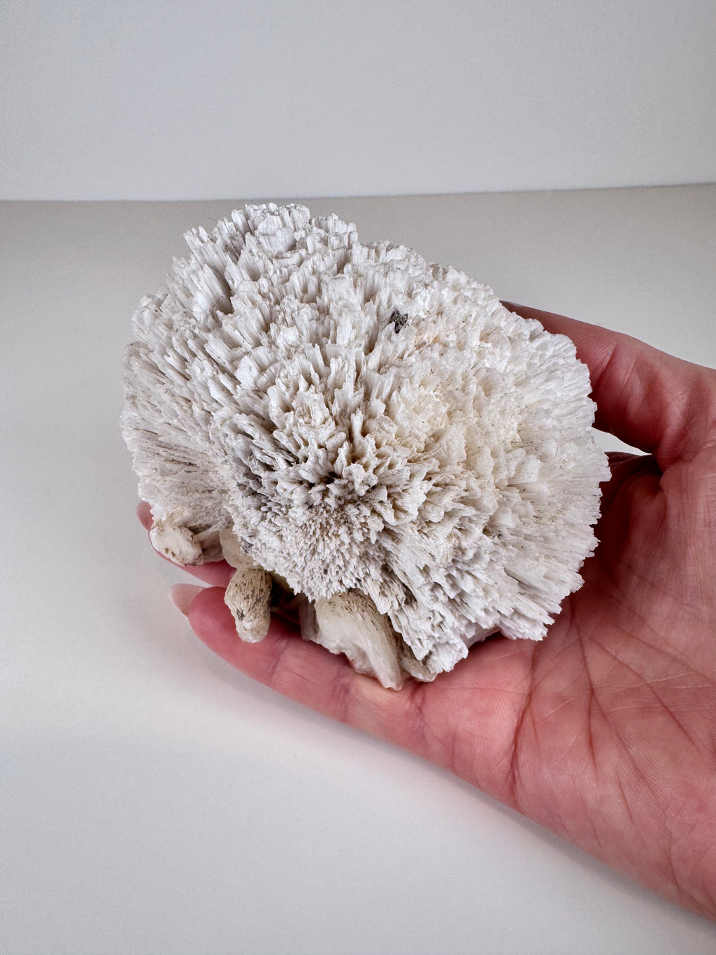 Scolecite and Stilbite