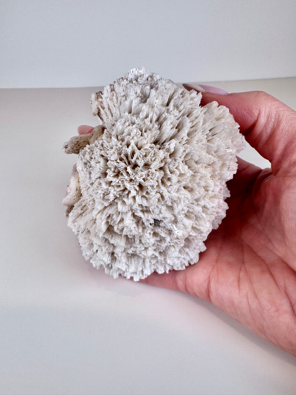 Scolecite and Stilbite