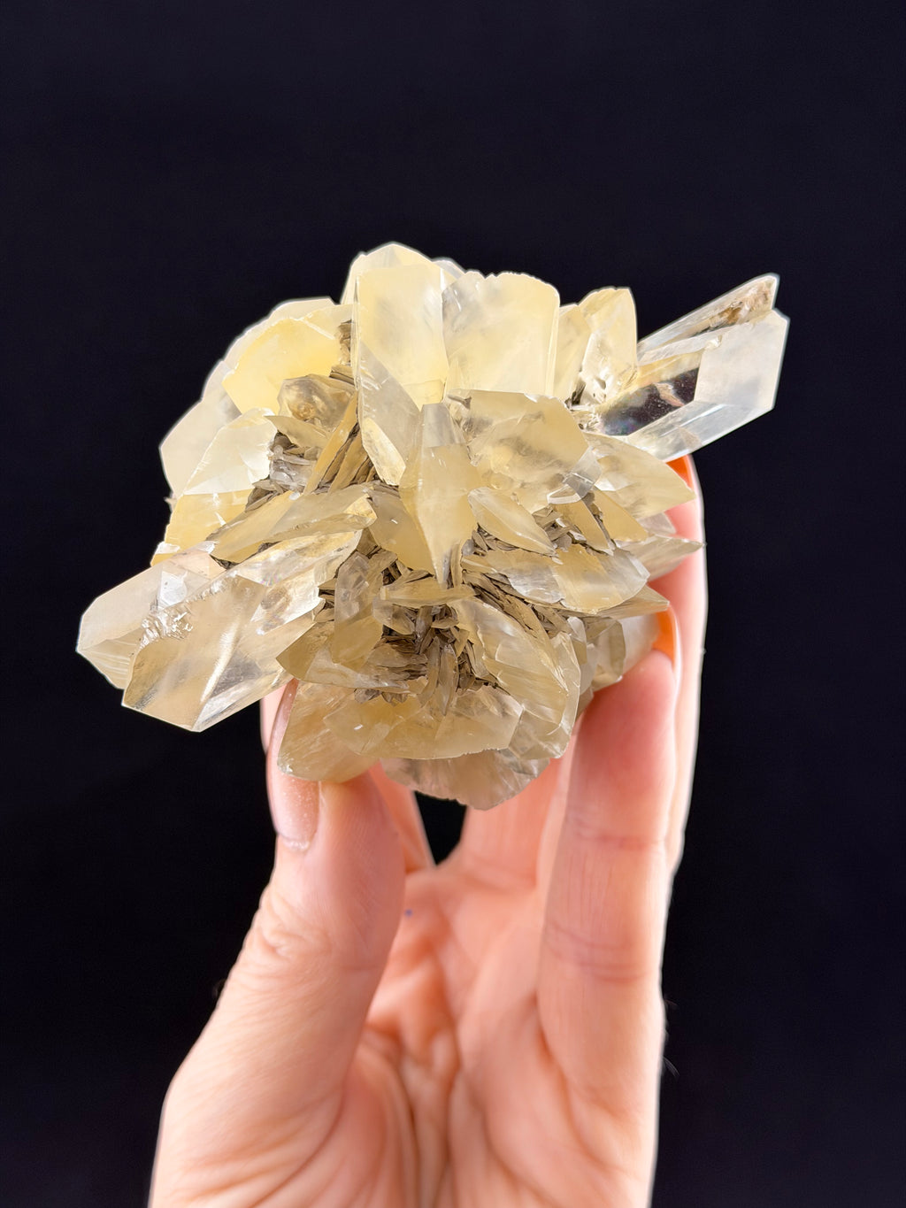 Duckbill Selenite, Manitoba, Canada