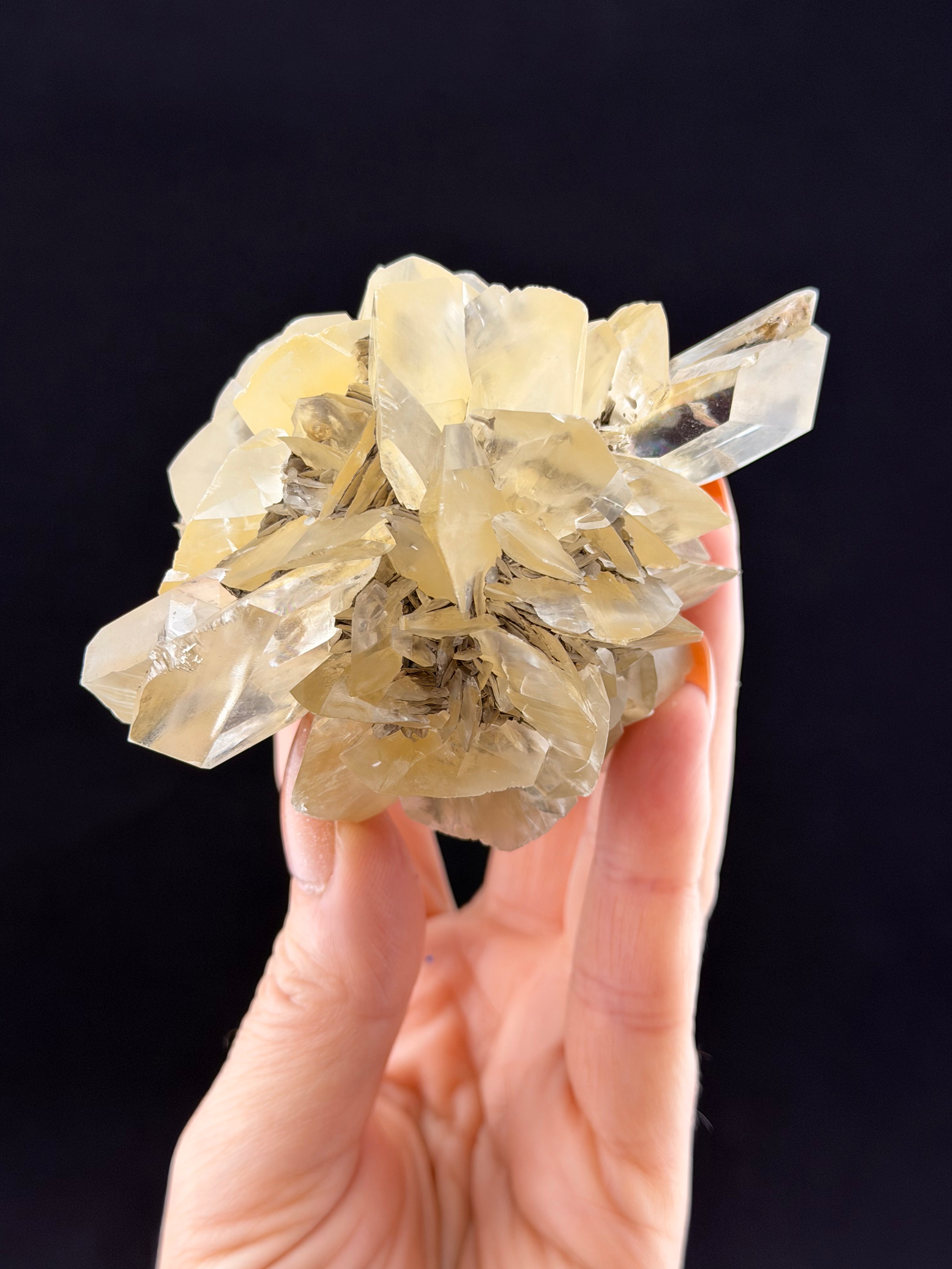Duckbill Selenite, Manitoba, Canada