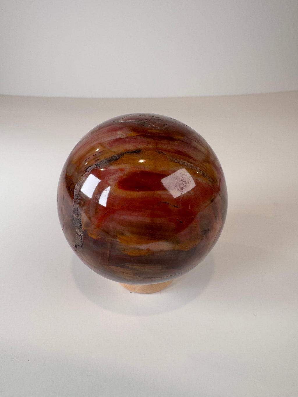 Petrified Wood Sphere