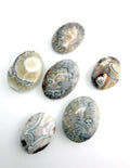 Mexican Lace Agate Palm Stones