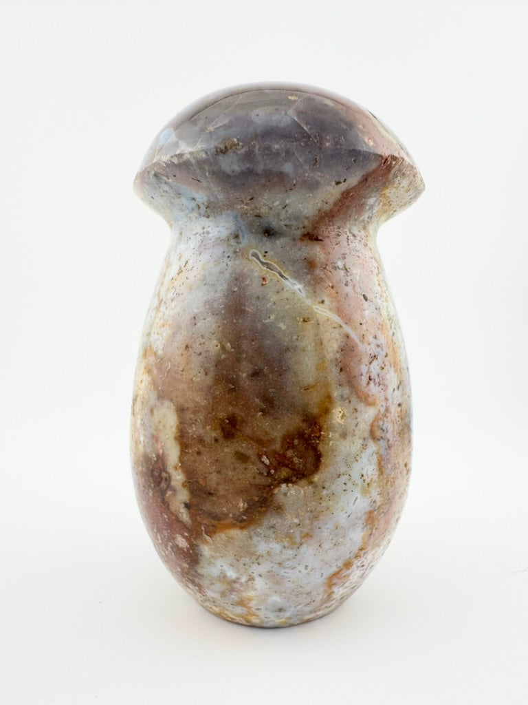 Ocean Jasper Mushroom
