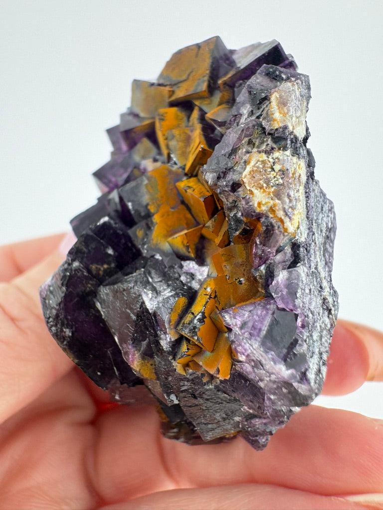 Gilded Iridescent Purple Fluorite